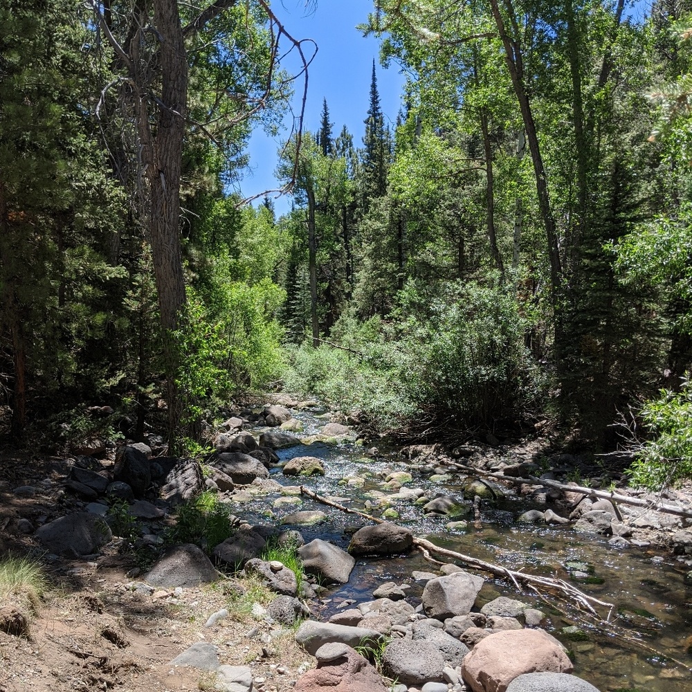 Meet your Posher, Kira